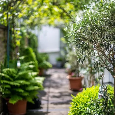 Altstadt Apartmán Koblenc