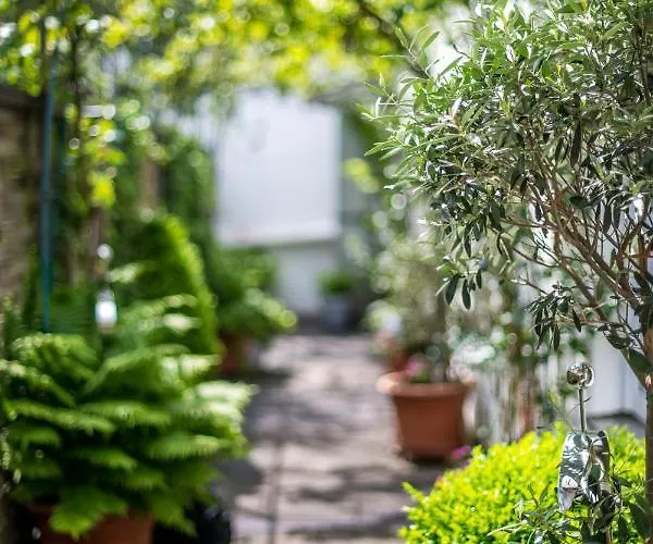 Altstadt Apartament Koblencja